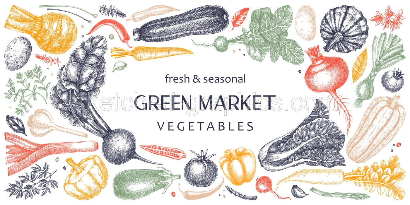 Hand-drawn vegetables vector banner design. Hand-sketched healthy food illustration. Vintage edible plants hand-drawings. Kitchen vegetables frame template in sketched style. For menu or banners Illustration